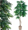 PLANTASIA Umělá rostlina strom, mango, 180 cm Náhled obrázku produktu 1
