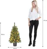 Black Box Trees Creston Künstlicher Weihnachtsbaum im Topf Produktbild-Vorschau 7