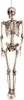 Grand squelette ossature Halloween 160 cm Deko Fruselage Voir les images du produit 1