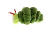 A plush caterpillar toy on a white background. Produktbild-Vorschau