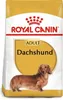 Klein Royal Canin Dachshund Adulto Pollo Arroz Aves 1,5 Kg Produktbild-Vorschau 7