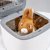 Dispositivo di disinfezione Reer UV-C con funzione di Anteprima dell’immagine prodotto 17