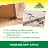 Vorteile AmeisenStopp Spray: Für Küche und Bad gezielte Anwendung auf Ameisenlaufwegen Produktbild-Vorschau