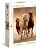 Puzzle Clementoni 1000 Cavalli al galoppo 39168 Anteprima dell’immagine prodotto 3