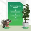 Wassertropfer XL Set 6 Stück für Pflanzen transparent - Produktbild-Vorschau 4