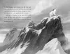 The Last Bear Produktbild-Vorschau 5