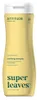 Attitude Super Leaves Reinigendes Shampoo (473 ml) Produktbild-Vorschau 3