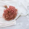 Glixia Getrocknete - (Glixia Marcela) - Rosa Produktbild-Vorschau 2