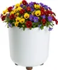HowHomely | Vasi da fiori con piedini - Vasi per piante - Anteprima dell’immagine prodotto 6