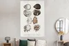 MuchoWow® Poster Muschel - Vintage - Meer 120x180 cm - Produktbild-Vorschau 4
