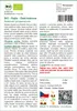 SAFLAX - BIO - Rajče - Zlatá královna - Solanum Náhled obrázku produktu 3