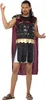 A man wearing a Roman gladiator costume. Anteprima dell’immagine prodotto