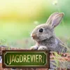 Jagdrevier Metallschild XL mit Jagd Motiv Produktbild-Vorschau 5