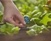 GARDENA 6-Flächen-Sprühdüse 2 Stück-1396-20 Produktbild-Vorschau 20