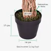 HOMESCAPES Kunstbaum Ficus Benjamini grün 180 cm Produktbild-Vorschau 3