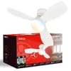 Stropní ventilátor s osvětlením Dálkové ovládání Ventilátor Náhled obrázku produktu 1