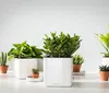 LECHUZA-Tischgefäß CUBE Premium 16 Weiß Highgloss | Produktbild-Vorschau 6