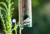 dobar Kleine Futtersäule mit Anflugstangen, Futterspender Produktbild-Vorschau 6