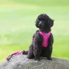 Rukka Pets Hundegeschirr "Comfort Air Harness" pink, Größe: Produktbild-Vorschau 3