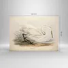 Bilder auf glas - Einteilig - Vogel Weiß Reiher - 100x70cm Produktbild-Vorschau 3