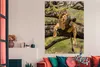 MuchoWow® Poster Löwe - Baum - Braun 120x180 cm - Produktbild-Vorschau 3
