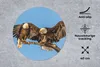 MuchoWow® Mauspad Mousepad Vogel - Äste - Adler - Raubvögel Produktbild-Vorschau 2