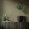 Květináč 16,8cm RYFO DRF170-S433 antracit plastový Náhled obrázku produktu 15