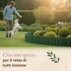 Floranica Bordatura giardino legno 100 cm x 10 cm, Verde – Anteprima dell’immagine prodotto 6