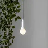 Illuminazione LED Lighty per stelle e paralumi da esterno Anteprima dell’immagine prodotto 1