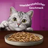 WHISKAS Adult 1+ Pure Delight Katzennassfutter Produktbild-Vorschau 6