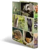 HERMA 2D bosdieren, A4-formaat, zelfklevend, karton, Productafbeelding-voorbeeld 7