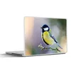 MuchoWow® Laptop Aufkleber Sticker Cover Kohlmeise - Vogel Produktbild-Vorschau 1