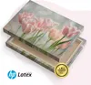 Muralo Leinwandbild Canvas für Esszimmer TULPEN Blumen Produktbild-Vorschau 8