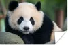 MuchoWow® Poster Panda - Wildtiere - Porträt - Stein 120x80 Produktbild-Vorschau 1