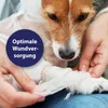 Canosept®: Gel para el cuidado de heridas para perros, 20 Vista previa de la imagen del producto 2