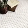 A close-up view of a rug with a curved pattern, featuring a potted cactus and two old books. Anteprima dell’immagine prodotto