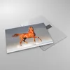 Bilder auf glas - Tiere Pferd Galopp Geschwindigkeit - Produktbild-Vorschau 2