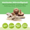 Shiitake Pilz Pulver 250g Produktbild-Vorschau 4