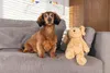 Beeztees Hund Vajen - Hundespielzeug - Plusch - hellbraun - Produktbild-Vorschau 4