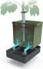 Gusta Garden Tom Tomato, Topfpflanzer, Freistehend, Produktbild-Vorschau 11