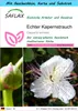 SAFLAX - Geschenk Set - Kräuter - Echter Kapernstrauch - 25 Produktbild-Vorschau 1