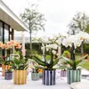 Kolibri Home | Gemaltes Streifchen Produktbild-Vorschau 3