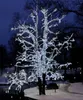System LED 'LED-Lichterkette 5m' 50 LEDs kaltweiß, IP44 Produktbild-Vorschau 7