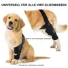 Verstellbare Knieorthese für Hunde – Hinterbeinstütze zur Produktbild-Vorschau 3