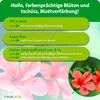 Purgrün nawóz do hibiskusa 1 litr Podgląd zdjęcia produktu 3
