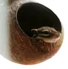 Nichoir pour perroquet, maison en coque de noix de coco Voir les images du produit 4