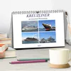 KREUZLINER im Ostseebad Warnemünde (Tischkalender 2027 DIN Produktbild-Vorschau 3