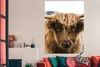 MuchoWow® Poster Schottischer Highlander - Kuh - Gras - Produktbild-Vorschau 3