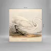 Bilder auf glas - Einteilig - Vogel Weiß Reiher - 60x60cm - Produktbild-Vorschau 3