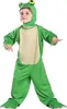 A young child wearing a green frog costume. Náhled obrázku produktu